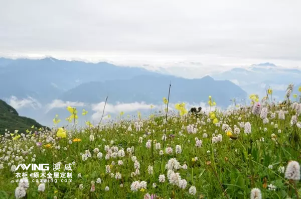 澳威家居08