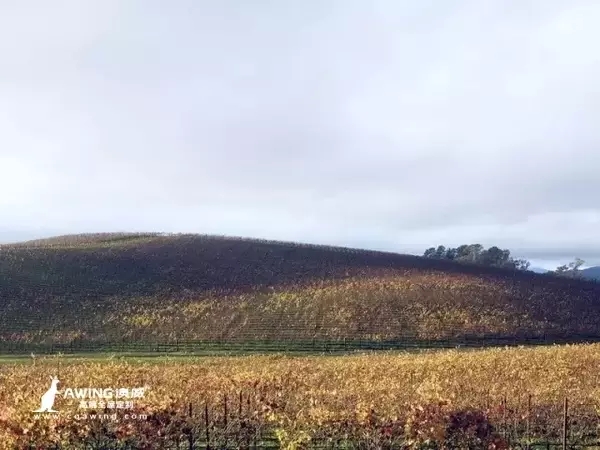 重慶澳威全屋定制：windows xp天氣陰郁時，絲毫見不到曾經清麗的美景