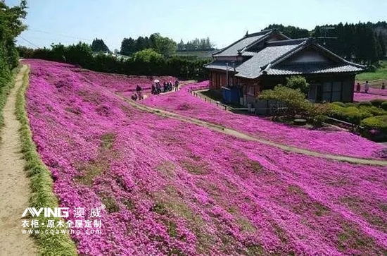 澳威全屋定制：陪伴，是*長(zhǎng)情的告白5