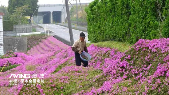 澳威全屋定制：陪伴，是*長(zhǎng)情的告白6