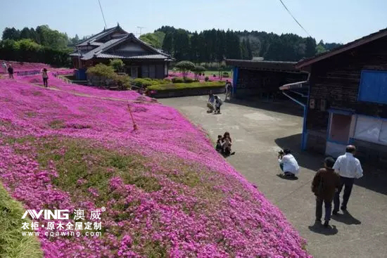 澳威全屋定制：陪伴，是*長(zhǎng)情的告白8