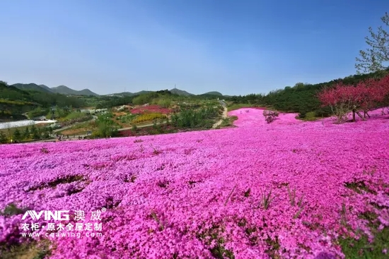 澳威全屋定制：陪伴，是*長(zhǎng)情的告白9